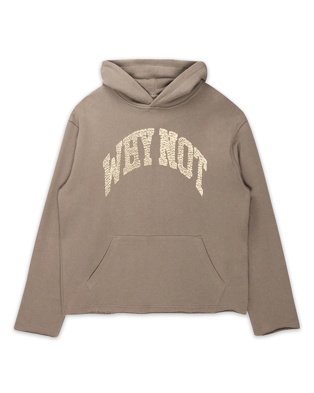 Hoodie Why Not